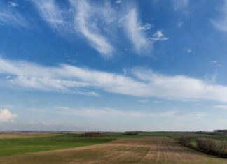 Весенние качели: Синоптики предупредили о температурных перепадах и сюрпризах погоды