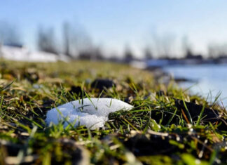 Весенняя оттепель: синоптики обещают украинцам комфортную погоду до +19°C