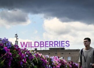 ГУР Украины нарушил работу Wildbooks: кибератака парализовала платежи и логистику маркетплейса
