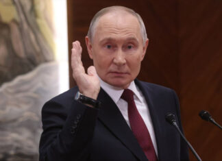 Биология против пропаганды: ученые опровергли вымышленную теорию Путина об охоте косаток на медведей
