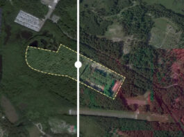 «Яндекс» замаскировал ракетный комплекс у Кронштадта под лес на картах
