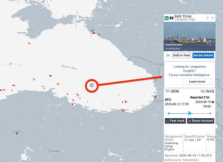 Атака дрона в Черном море: раскрыты детали уничтожения контейнеровоза RMS Team на пути в Новороссийск