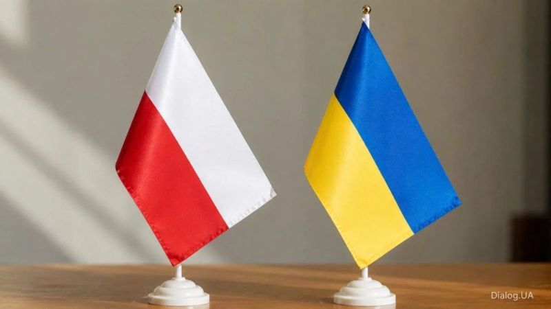 Задержание подозреваемых в нападении на украинских детей в Польше