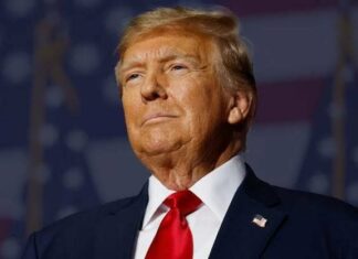 Трамп оценил исторический триумф «АдГ» в Германии и связал рекорд правых с кризисом миграционной системы