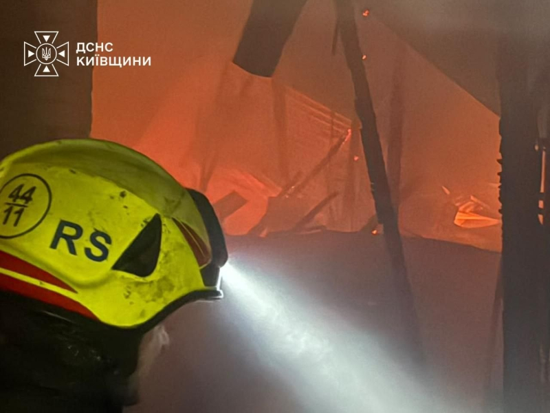 РФ атаковала Украину 172 БПЛА - есть жертвы среди мирных граждан и разрушения в девяти областях