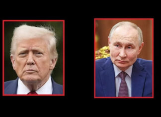 Трамп одобрил план: обмен политзаключенных на ослабление санкций против России