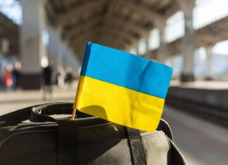 Цифровой реестр беженцев: в Германии раскрыли механизм идентификации военнообязанных украинцев через базы данных