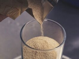 Спиртові дріжджі: як обрати культуру для стабільного ферментаційного процесу