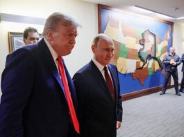 Трамп и Путин: раскрываем скрытые мотивы дизельной сделки на фоне Z-пропаганды