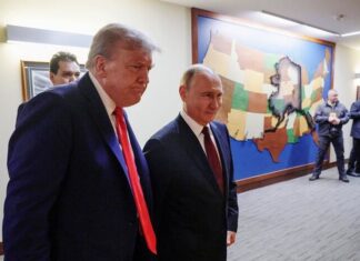 Трамп и Путин: раскрываем скрытые мотивы дизельной сделки на фоне Z-пропаганды