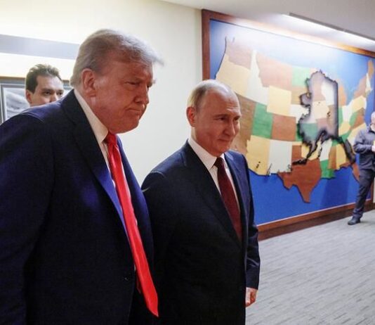 Трамп и Путин: раскрываем скрытые мотивы дизельной сделки на фоне Z-пропаганды