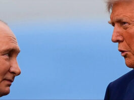 The Atlantic: Трамп хочет принудить Украину к капитуляции к саммиту G20 — эксперты анализируют реальность заявлений