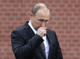 FT: Раскрыт секретный план мирного договора по Украине, на который согласился Путин, но отверг Киев