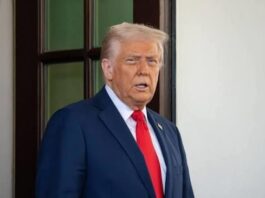 Эксперт раскрыл истинные мотивы Трампа по Украине: почему конфликт мешает его глобальной стратегии