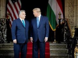 Зачем Трамп предложил Орбана на пост Генсека ООН: Несвитайло раскрыл неочевидную причину
