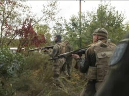 Операция «Вивальди» активизируется: военные аналитики фиксируют продвижение ВСУ к востоку от Лимана