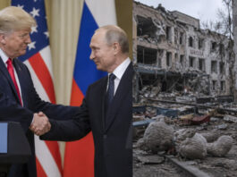 Трамп открывает рынок для российского дизеля: Белый дом балансирует между экономикой США и санкциями против РФ