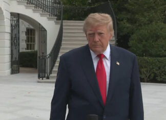 Трамп открыто призвал Украину сменить президента: что это значит для Киева и Вашингтона