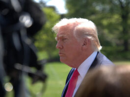 Трамп отрицает причастность к сбоям Starlink в Украине: что на самом деле произошло с военной связью