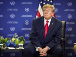 Трамп объявил об «энергетическом перемирии» между Украиной и Россией: что стоит за сенсацией?