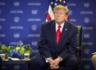 Трамп объявил об «энергетическом перемирии» между Украиной и Россией: что стоит за сенсацией?