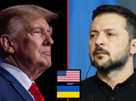 Европа взрывается критикой: Трамп атаковал Зеленского и договорился о российском дизеле — что это значит для Запада?