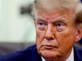 Украинские политики, ориентированные на Трампа, пытаются создать альтернативу Зеленскому: что известно о «про-MAGA» группе