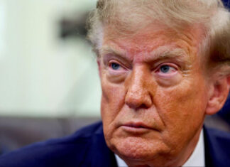 Украинские политики, ориентированные на Трампа, пытаются создать альтернативу Зеленскому: что известно о «про-MAGA» группе