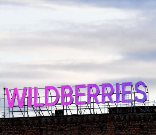 Wildberries теряет долю рынка после ударов: Ozon вырывается вперед, но угроза сохраняется