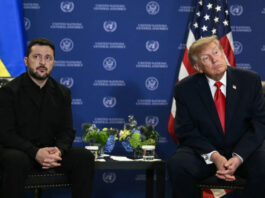 Зеленский раскрыл неожиданную связь: почему Трампа привлекают автократы и миллиардеры